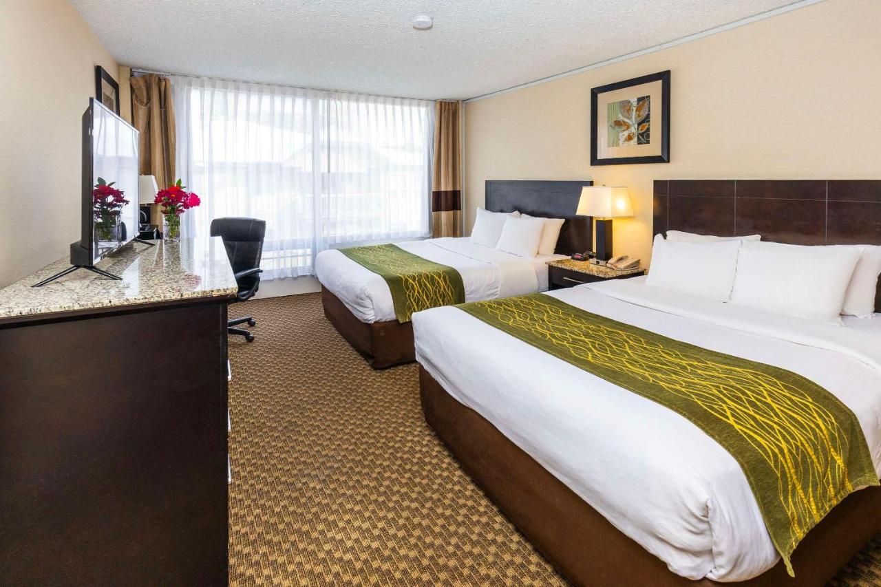Comfort Inn & Suites Edmonton Kültér fotó
