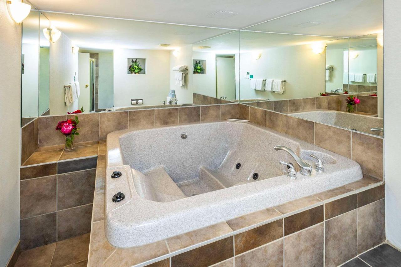 Comfort Inn & Suites Edmonton Kültér fotó