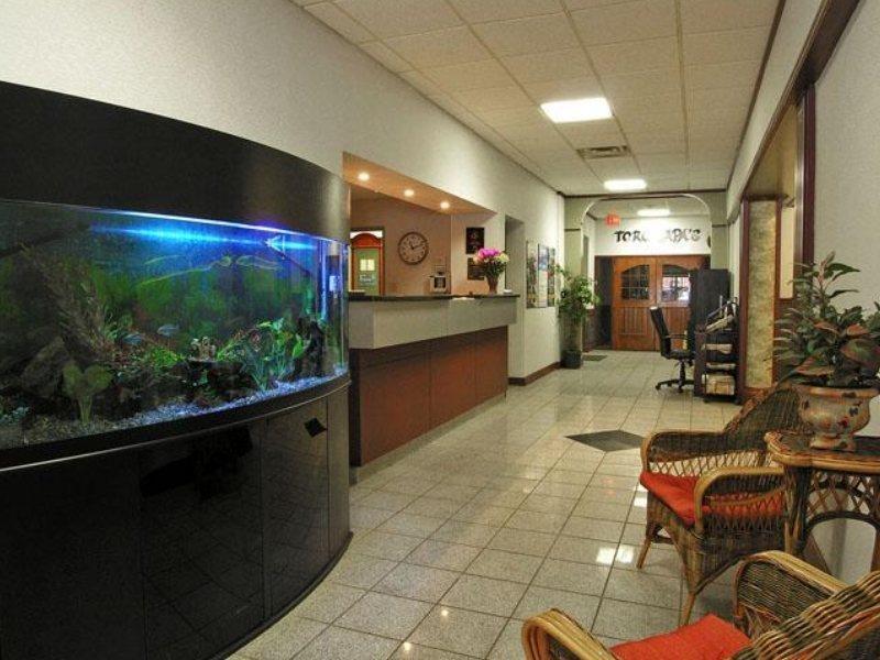 Comfort Inn & Suites Edmonton Beltér fotó